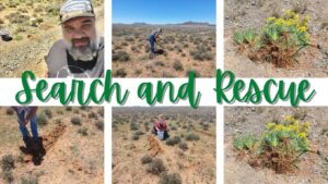 Search and Rescue Search and Rescue